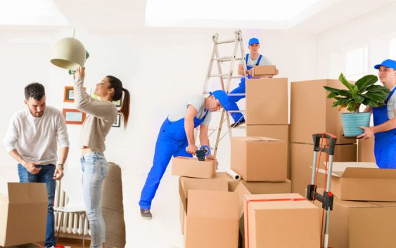 Tips to Help You Choose the Best Movers and Packers
